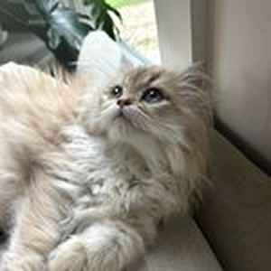 Transportin' (sped up)