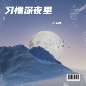 习惯深夜里 伴奏