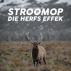 Die Herfs Effek