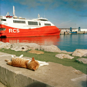 想要去旅行 (现场版)
