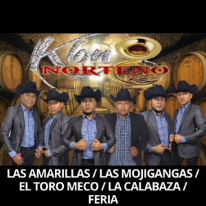 Las Amarillas / Las Mojigangas / El Toro Meco / La Calabaza / Feria