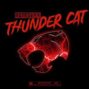 Thunder Cat