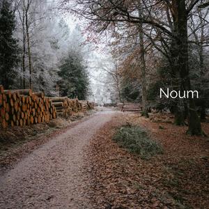 Noum