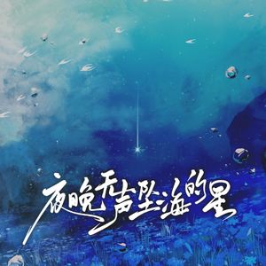 夜晚无声坠海的星