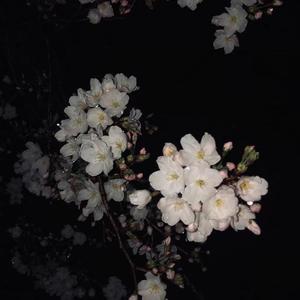 如果有时间