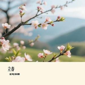 立春 (Cover 薛凯琪)