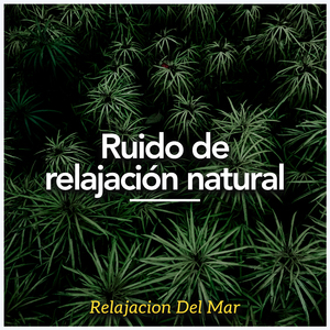 Small Stream, Big Bird Population