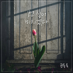 보고싶어 미치겠다