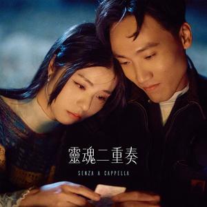 灵魂二重奏