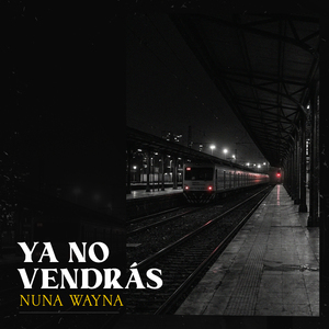 Ya no vendras