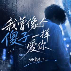 我曾像个傻子一样爱你
