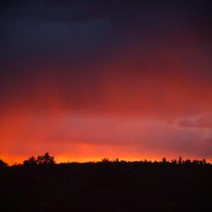 ill call you on the road