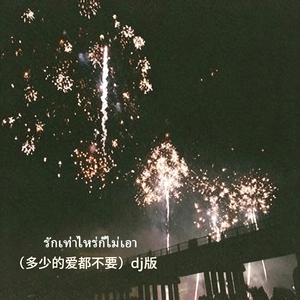 รักเท่าไหร่ก็ไม่เอา（多少的爱都不要）dj版