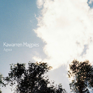 Kawarren Magpies