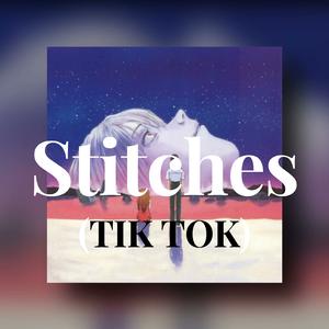 Stitches (Tik Tok)
