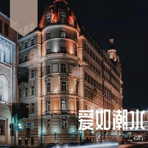 张信哲-爱如潮水REMIX（C27 remix）