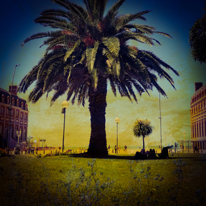 Imperio