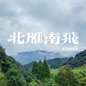 北雁南飞（Prod. EVOMUSIC）