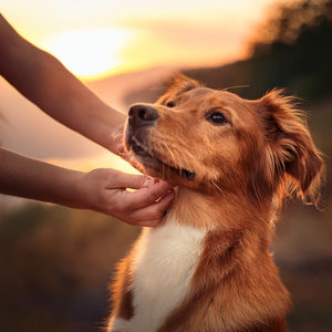 The Quiet Circle Of Safe Space