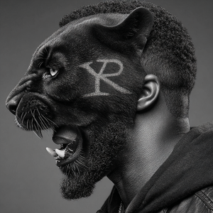 Missed Calls (未接听的电话)