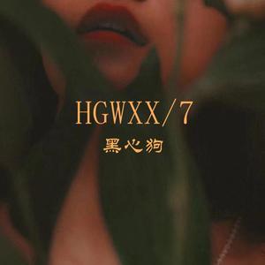HGW XX/7
