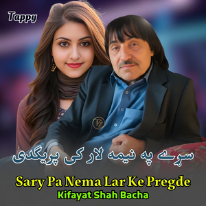 Sary Pa Nema Lar Ke Pregde Tappy