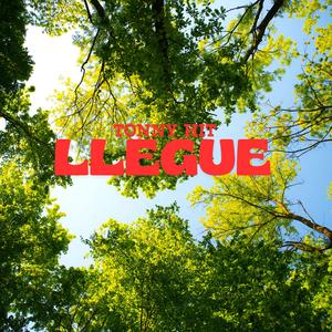 Llegue