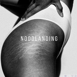 Noodlanding