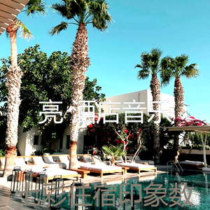 优美酒店鸡尾酒吧器乐