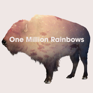 One Million Rainbows