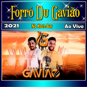 Privilégio - Ao Vivo