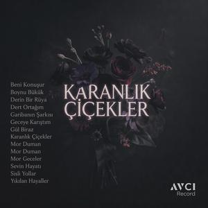 Garibanın Şarkısı