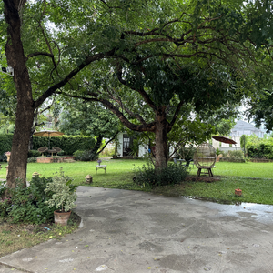 慢慢喜欢你（cover 莫文蔚）