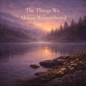 The Things We Almost Remembered