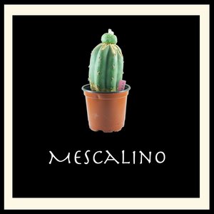 Mescalino