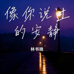 像你说过的安静