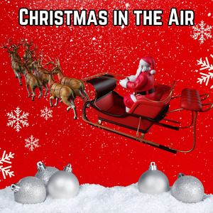 Echoes of Christmas Joy