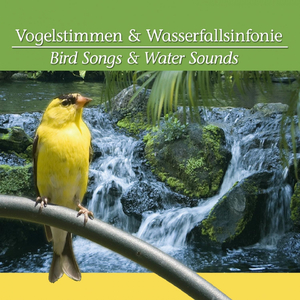 Vogelstimmen & Wasserfallsinfonie 3