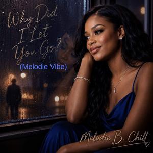 Why Did I Let You Go? (Melodie Vibe)