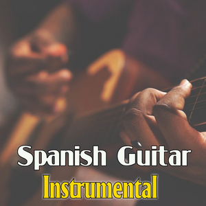 I Just Call To Say I Love You (Guitar)