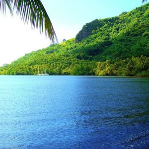 张芸京-偏爱2_(new)（sdz史迪仔 remix）