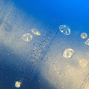 Lights On Your Side