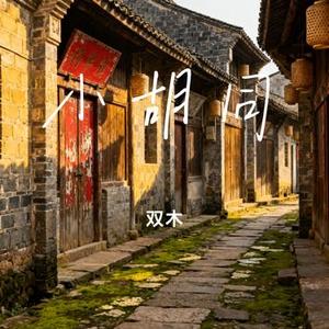 小胡同 (Cover 郑润泽)