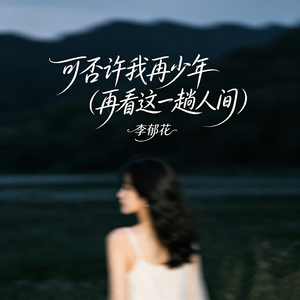 可否许我再少年(再看这一趟人间)