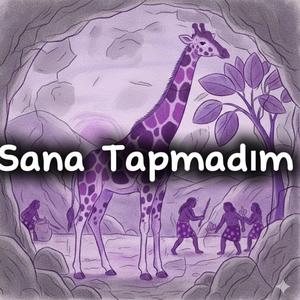 Sana Tapmadım
