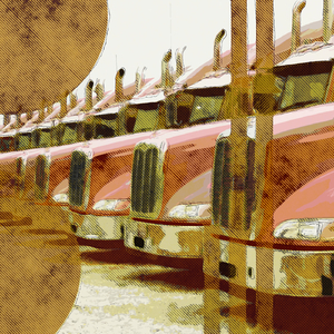 For We Shall Know Speed