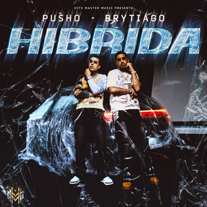 Hibrida