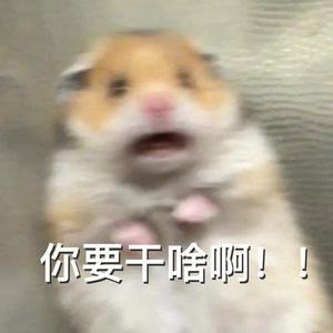 火宵之月 ~ 变奏曲（翻自 中村由利子）