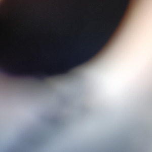 No02096_Psychomimesis