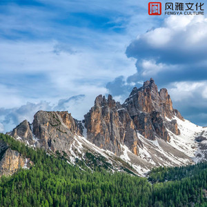 人间温柔观察者 -小提琴